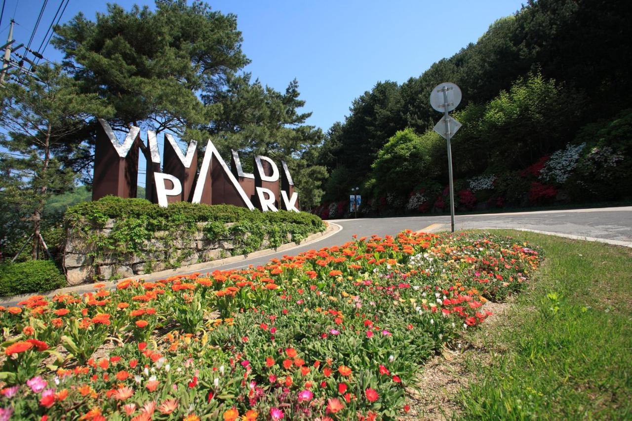 Vivaldipark Hotel Hongcheon Exterior photo
